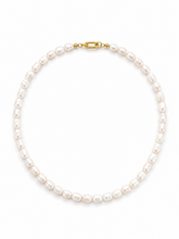 SLIDER STYLE charleston charm necklace