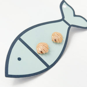 clam dainty studs