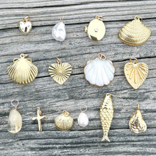 dainty clam shell