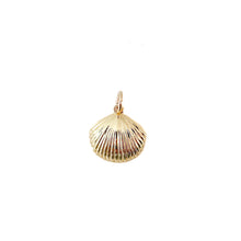 dainty clam shell