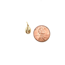 tiny cowrie shell- BRACELET CHARM