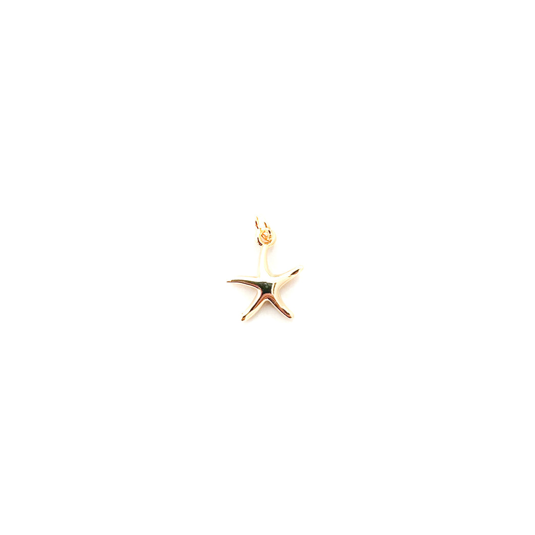 tiny starfish charm-BRACELET CHARM