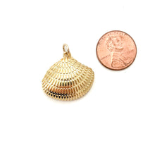 large clam shell charm- FIXED