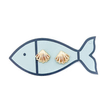 clamshell studs