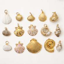 Collection of shell-shaped jewelry on a white background