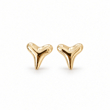 Shark Tooth Studs
