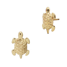 Kids Turtle Studs