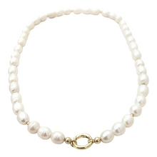 SLIDER STYLE charleston charm necklace