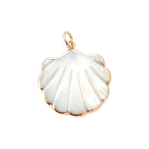 shell charm- SLIDER