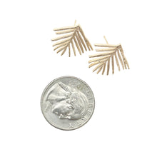 palm frond studs