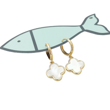 clover hoops