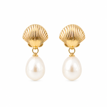 Clam Shell Pearl Gold Dangles