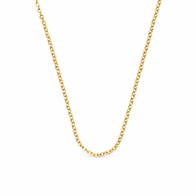 A delicate yellow gold curb chain necklace displayed in a U-shape against a solid white background.