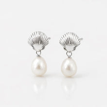 Silver-tone scallop shell and pearl drop earrings with a soft reflection.