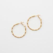 Gold hoop earrings on a light gray background
