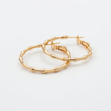 Gold hoop earrings on a light gray background